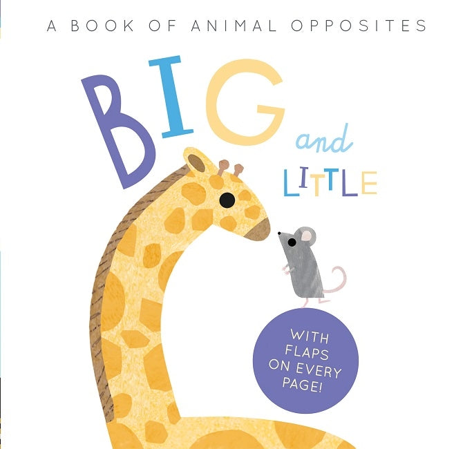 Big and Little by Harriet Evans