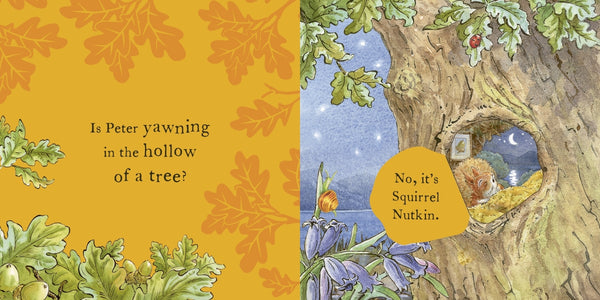 Peter Rabbit : Peter's Bedtime