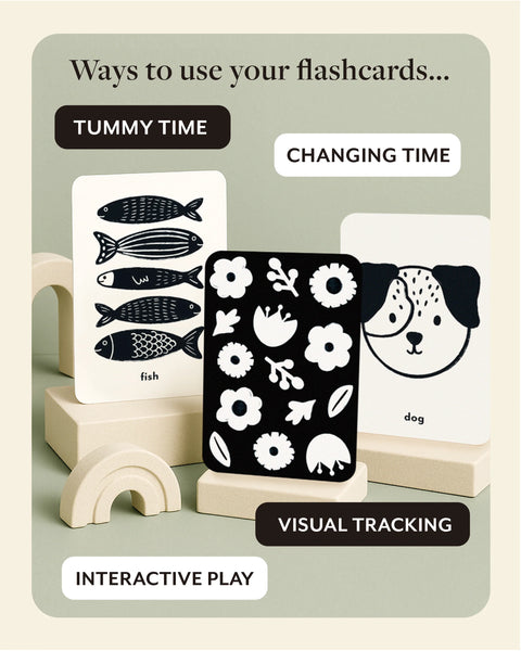 High Contrast Flashcards