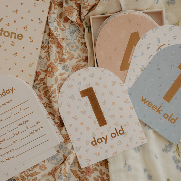 Baby Milestone Cards Broderie