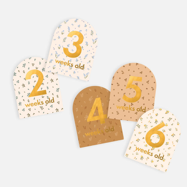 Baby Milestone Cards Broderie