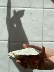 Shower Spells - Mindful