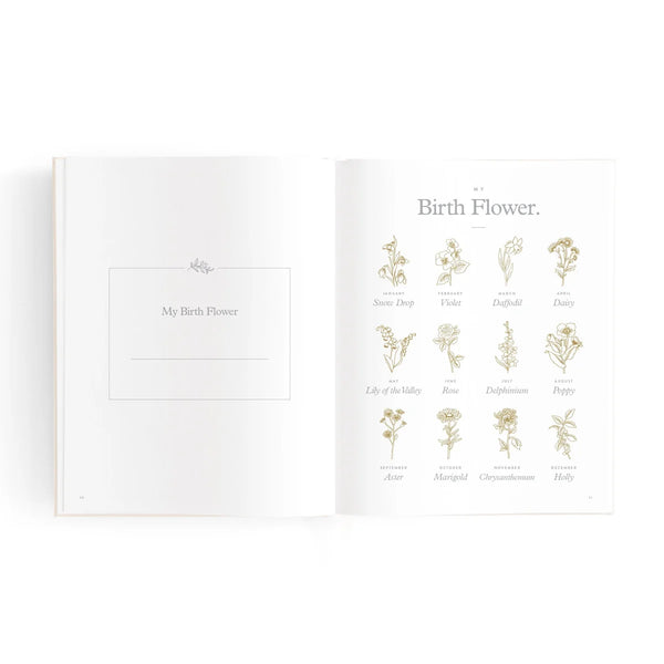 Mini Baby Book Oatmeal
