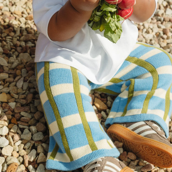 Organic Cotton Check Knit Pant Bluebird