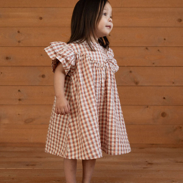 Una Dress Dandelion Gingham