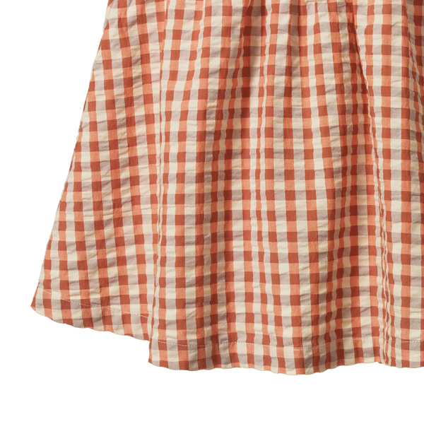 Una Dress Dandelion Gingham