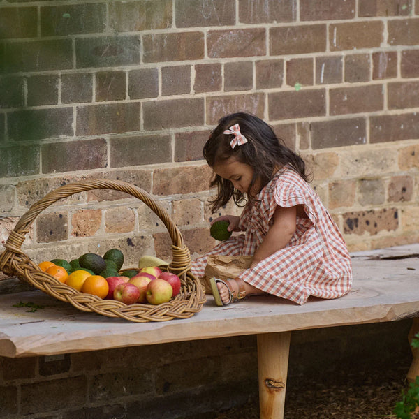 Una Dress Dandelion Gingham