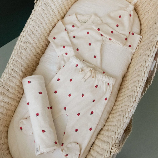 Welcome Home Set Raspberry