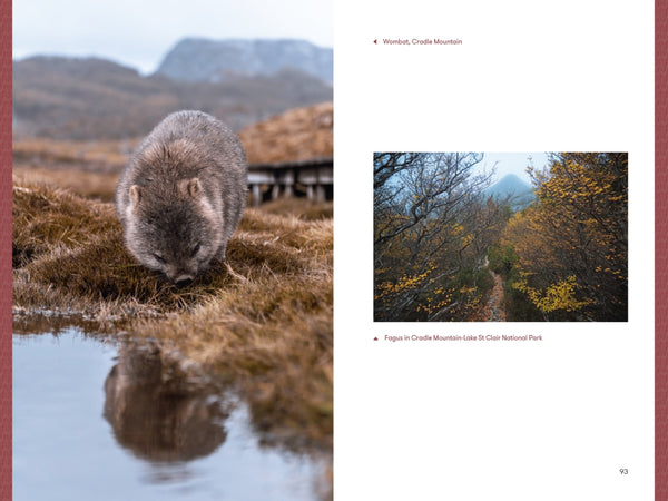 Walks in Nature Tasmania