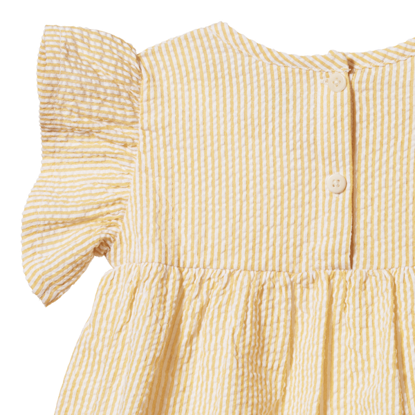 Bonnie Dress Golden Stripe