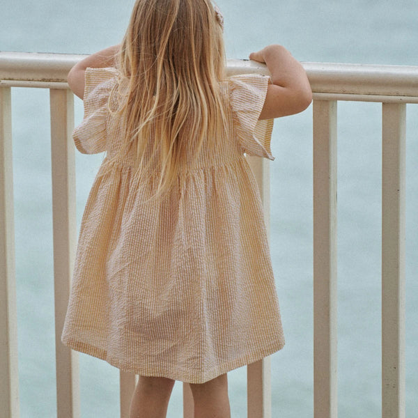 Bonnie Dress Golden Stripe