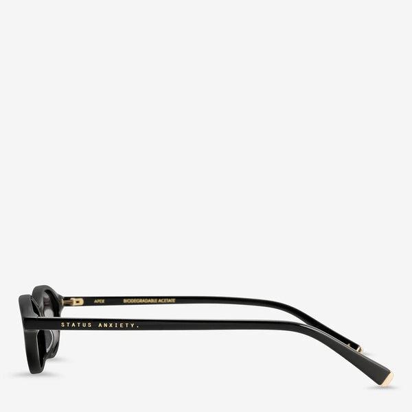 Apex Sunglasses Black/Gold