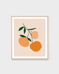 Winter Harvest Orange 2