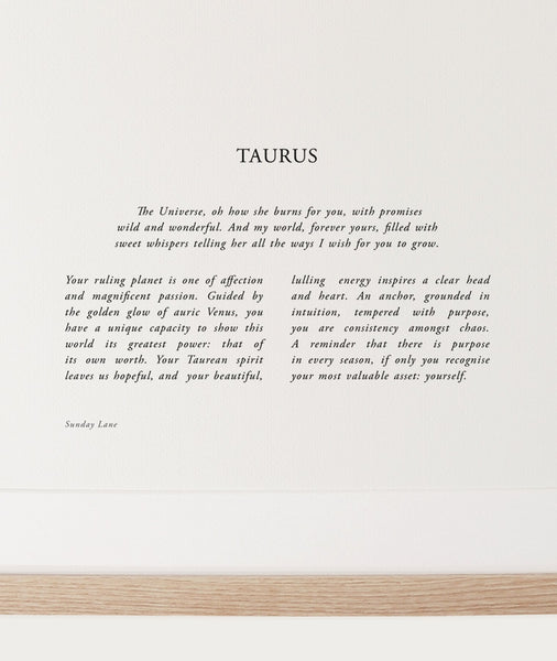 Taurus 04