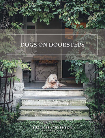 Dogs on Doorstesps