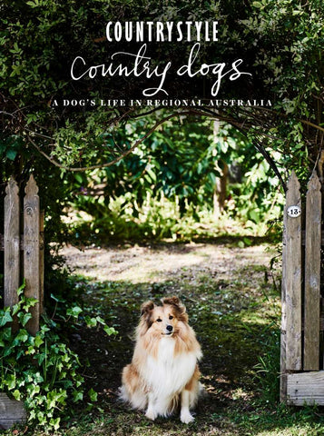 Country Style Dogs