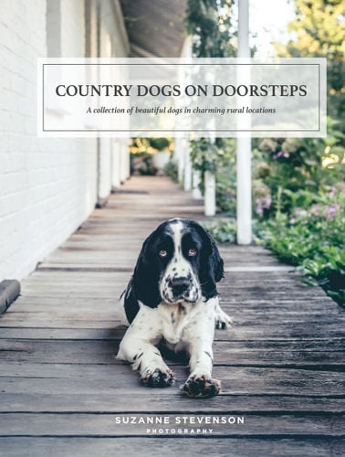 Country Dogs on Doorstesps