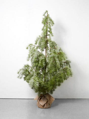 Whistler Christmas Tree Large 150cm